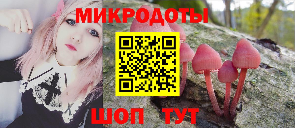 Сосновый Бор  Псилоцибиновые грибы Cubensis  Псилоцибиновые грибы Psilocybe  Вход с VPN 